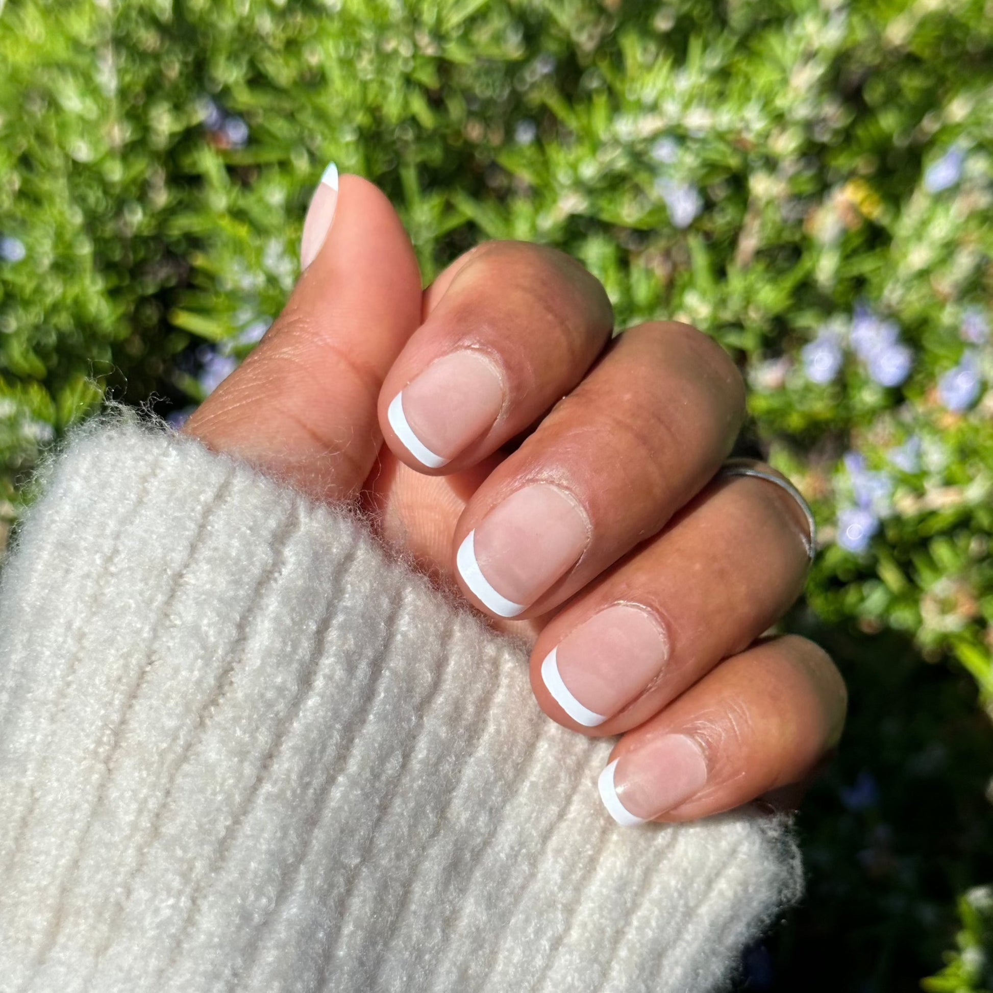 Short French tips press-on nails in natural light